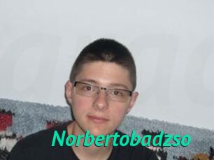 Norbertobadzso