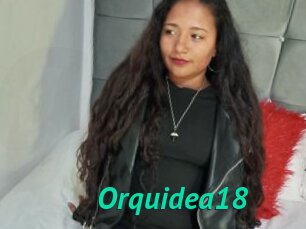 Orquidea18