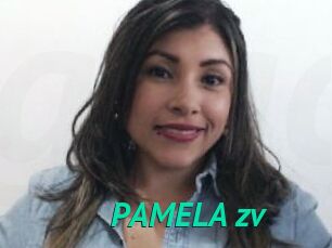PAMELA_zv