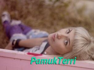 PamukTerri