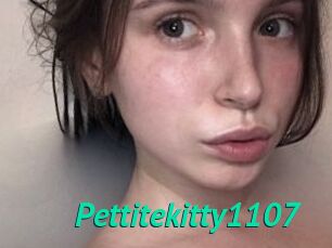 Pettitekitty1107