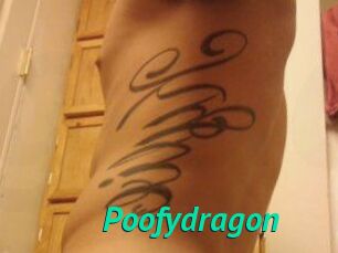 Poofydragon