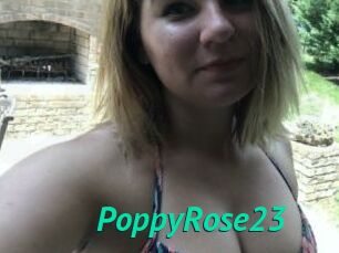 PoppyRose23