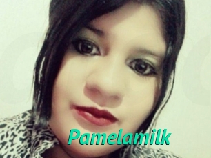Pamelasuite