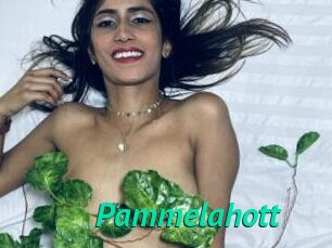 Pammelahott