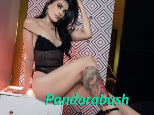Pandorabush