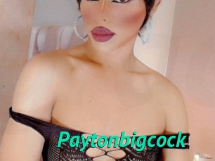 Paytonbigcock