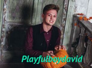 Playfulboydavid