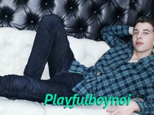 Playfulboynoi