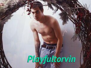 Playfultorvin