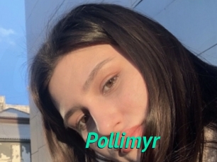 Pollimyr