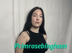 primrosebingham Gratis Camsex
