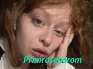Primroseborom