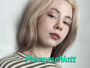 Primrosehiatt