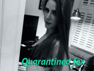 Quarantined_fox