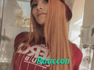 Raaccon