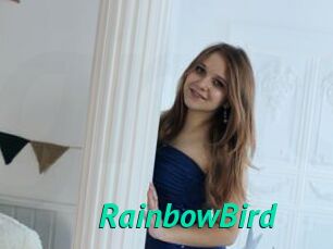 RainbowBird