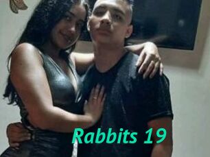 Rabbits_19