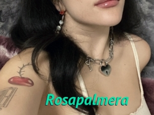 Rosapalmera