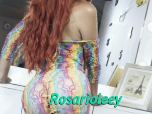 Rosarioleey