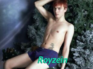 Royzein