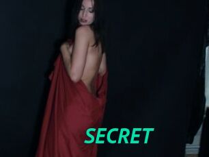 SECRET