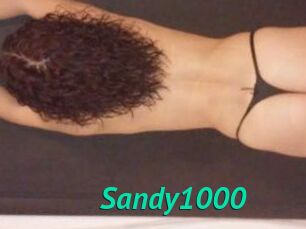 Sandy1000