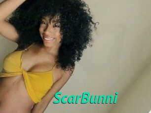 ScarBunni