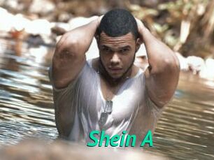 Shein_A