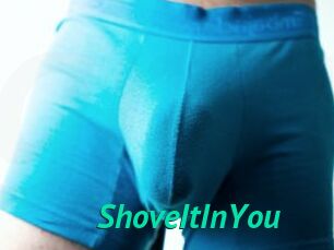 ShoveItInYou