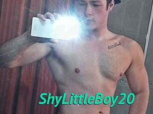 ShyLittleBoy20