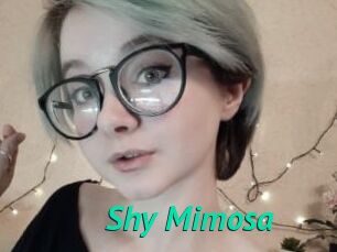 Shy_Mimosa