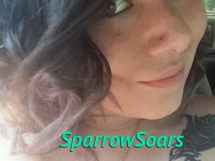SparrowSoars