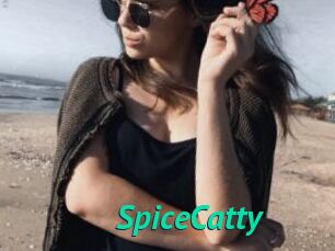 SpiceCatty