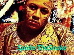 SpiderTheSnake