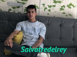 Salvatredelrey
