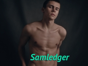 Samledger