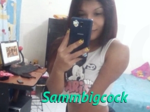Sammbigcock