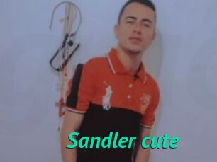 Sandler_cute