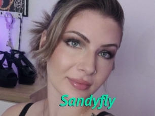 Sandyfly