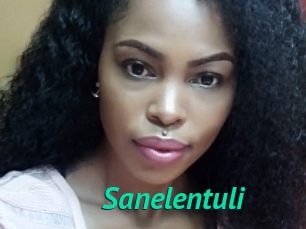 Sanelentuli