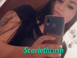 Scarlethrush