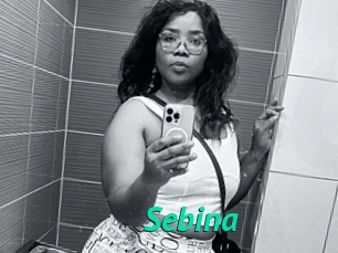 Sebina