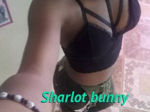 Sharlot_bunny