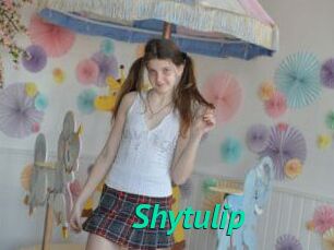 Shytulip