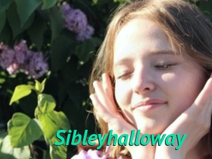 Sibleyhalloway