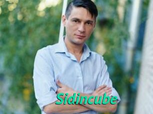 Sid_incube