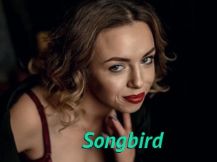 songbird Gratis Camsex