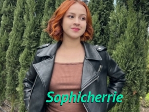 Sophicherrie