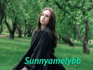 Sunnyamelybb